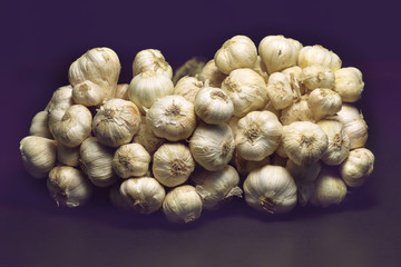 garlic bulb group on dark background