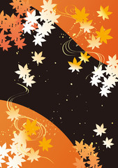 紅葉 淡い 白 四