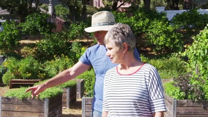 Senior Couple Checking Plants Growing On Community Allotment 