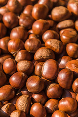 group of chestnuts,detail shot.
