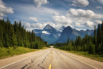 Fototapeta premium Scenic Icefields Pkwy traveling through Banff and Jasper National Parks