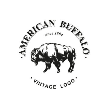 American buffalo logo inked vector