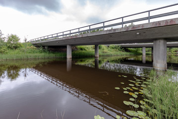 Fototapeta na wymiar Bridge over muddy water