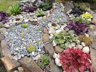 Rock garden 