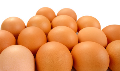 eggs on a white background