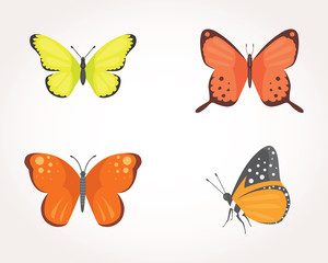 set of colorful Butterfly Vector Design Illustration. summer insect