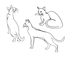 Vector set of cute cats. Doodle or sketch style image.