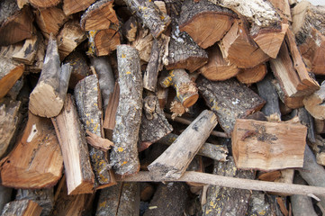 Leña de encina apilada