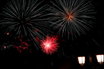 Fototapeta premium Fireworks, salute in the night sky