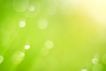 background light soft bokeh, glitter sweet nature greenery color filter abstract for background.