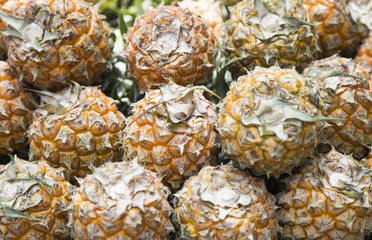Pineapple fruit background, hawaiian tropical pineapples background
