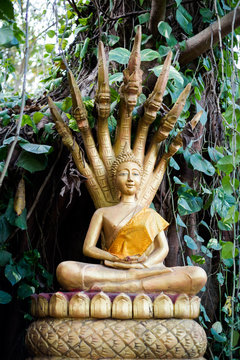 Buddhist Mount Phou Si temple