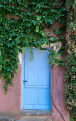 Fototapeta na wymiar Provence style blue wooden door with vine leaves