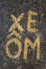 Sign of motor taxi or motorcyclist (Xe Om in Vietnamese) on a tree in Hanoi, Vietnam.