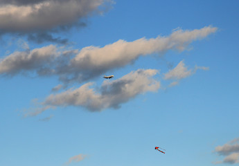 kite in the blue sky