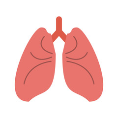 lungs cartoon icon image