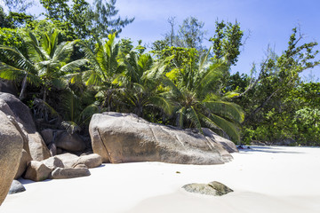 Plage Seychelles Anse Lazio