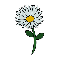 flower icon image