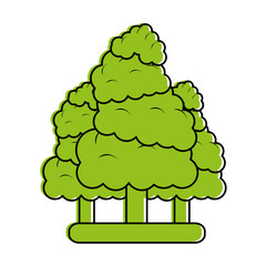 forest landscape icon image