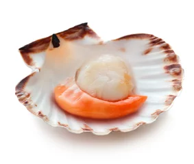 Fotobehang Raw scallop isolated on white background © Alexstar