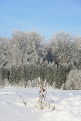 Winterlandschaft