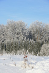 Winterlandschaft