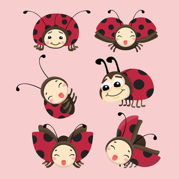 Cartoon ladybug vector set.
