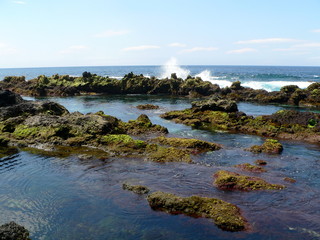 Lavafelsen im Meeresschwimmbad von Biscoitos, Terceira, Azoren, Portugal