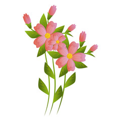 Beautiful flowers gardening