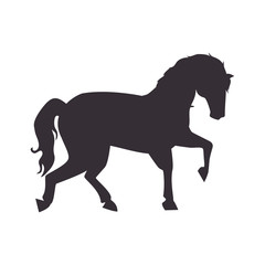 Fototapeta na wymiar horse icon image