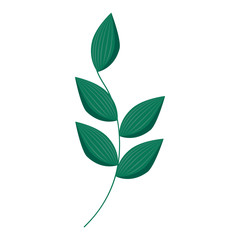 leaves icon image