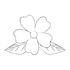 Beautiful flower with petals