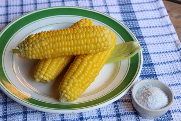 Boiled corn on plate