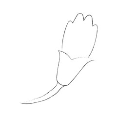 Beautiful flower with petals