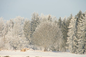 Winterlandschaft