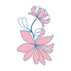 Beautiful flower with petals