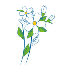 Beautiful flowers gardening