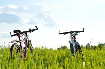 Naklejka premium Two bicycles on a green meadow