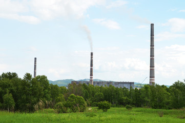 Heat power station in the forest pollutes air and soil