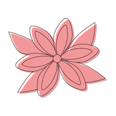 Beautiful flower with petals