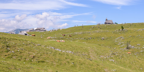 Obraz premium Velika planina plateau, Slovenia, Mountain village in Alps, wooden houses in traditional style, popular hiking destination