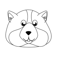 squirrel icon image