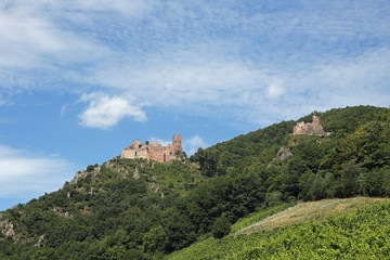 Fototapeta na wymiar Burg Giersberg und Sankt Ulrich 
