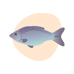 Vector illustration of cartoon fish  isolated
