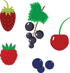 Set of simple vector berries: strawberry, blueberry, raspberry, black currant and cherry.