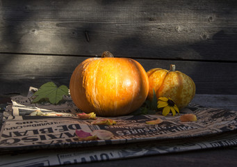 pumpkin 
