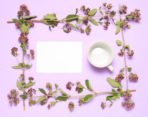 Decorative frame of oregano plants with a sheet of paper and a cup on a lilac background.