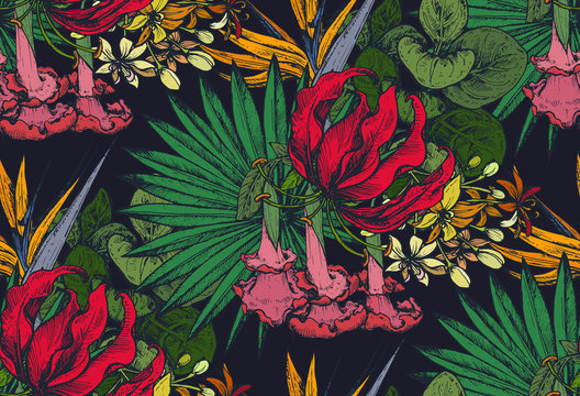 Vector seamless pattern with compositions of hand drawn tropical flowers