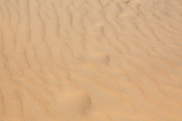 Fototapeta na wymiar summer beach sand texture background