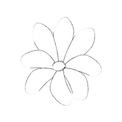 beautiful flowers design